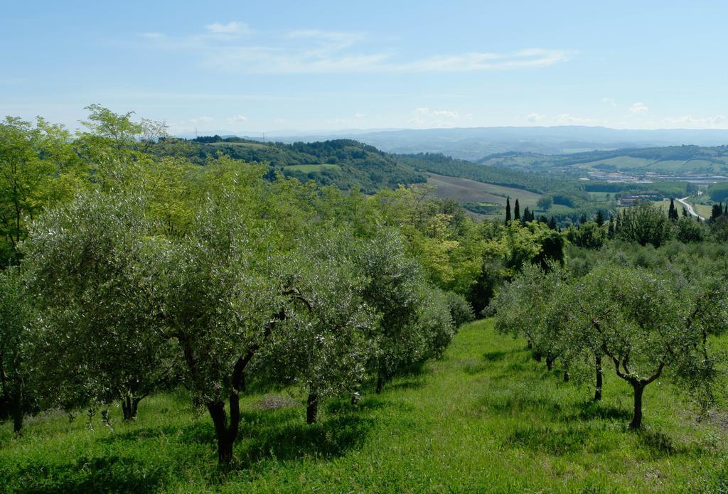 Landhuis Il Borghetto Tuscan Holidays San Gimignano