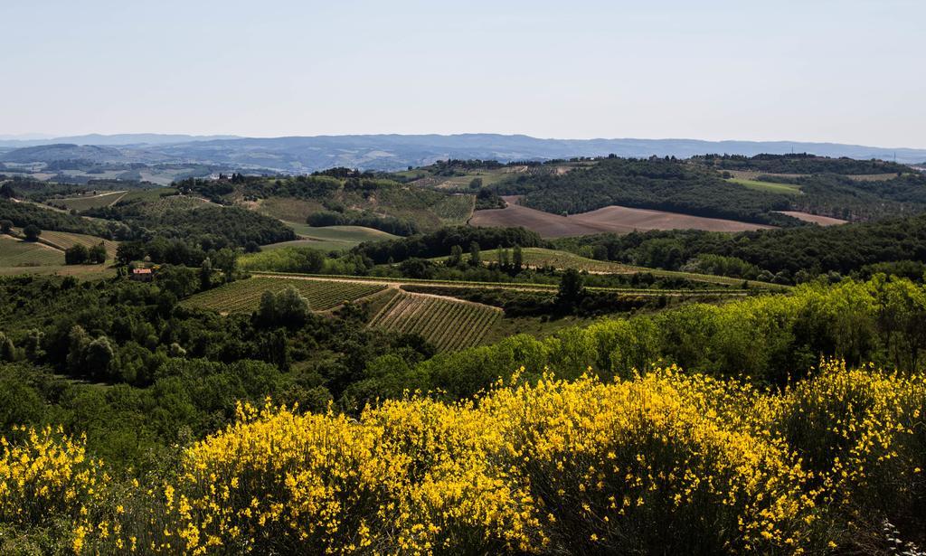 Il Borghetto Tuscan Holidays *