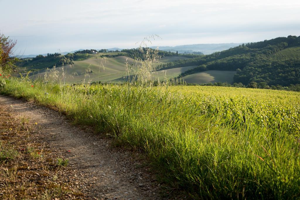 Il Borghetto Tuscan Holidays Landhaus *