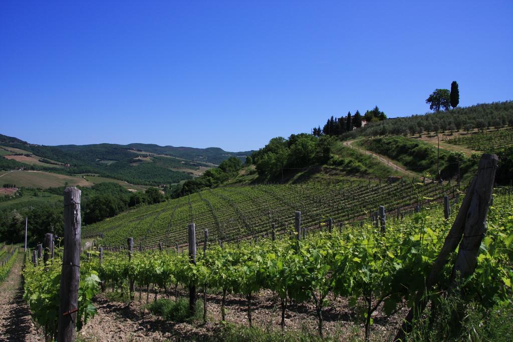 Il Borghetto Tuscan Holidays